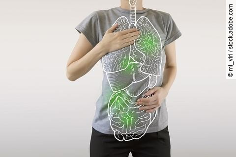 Menschlicher Rumpf mit Zeichnung von den einzelnen Organen.