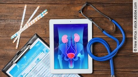 Tablet mit Illustration der menschlichen Nieren liegt zusammen mit einem Stethoskop und Testformular auf einem Tisch. 
