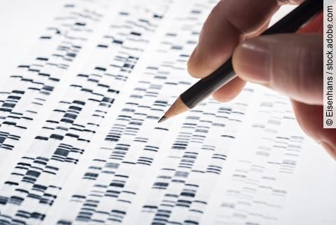 Auswertung einer DNA-Analyse, Hand mit Bleistift vor Ausdruck
