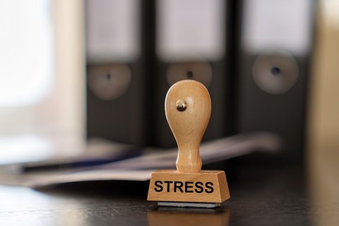 Stress, chronischer Stress, Lebenszeit