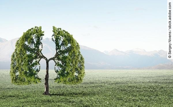 Baum in der Landschaft, Baumkrone in Form von Lungenflügeln, Klima und Gesundheit