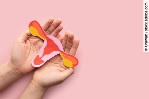 Uterus in Papierform in zwei Händen vor rosafarbenem Hintergrund.