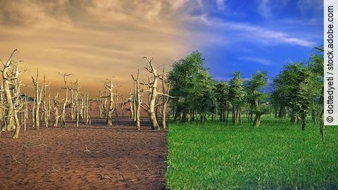 Klimawandel, globale Erwärmung, Wüste und grüne Landschaft
