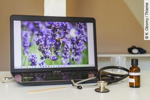 Computer, Schreibtisch, Lavendel, Stethoskop, integrative Medizin